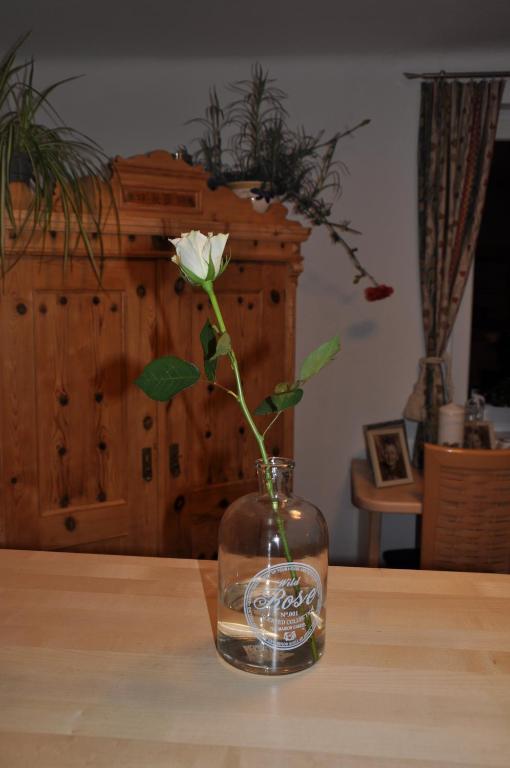 Apartmenthaus Dornroeschen 람자우 암 다흐스타인 외부 사진